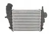 Интеркулер THERMOTEC DAD001TT (фото 2)
