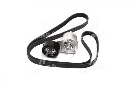 Роликовый модуль натяжителя ремня (ролик, ремень) Gates K276PK1555