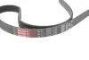 Роликовый модуль натяжителя ремня (ролик, ремень) Gates K025PK1133 (фото 3)