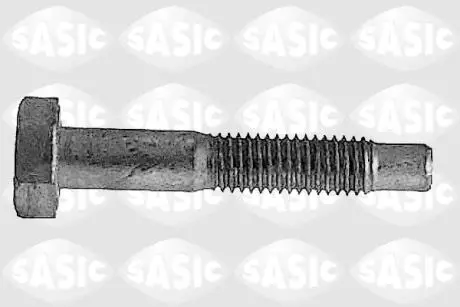 Зажимные болт, несущий / направляющий шарнир SASIC 5223433