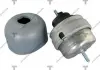Подушка двигуна FR / FL Hydraulic TENACITY AWSVW1013 (фото 1)