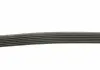 Ремень поликлиновой DAYCO 6PK2220K (фото 2)