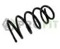 Пружини підвіски 2010-2079