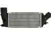 Интеркулер Thermotec DAC011TT