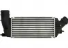 Інтеркулер THERMOTEC DAC011TT (фото 3)