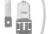 Лампочки освітлення, ксенон, LED NEOLUX NLX45301B (фото 1)