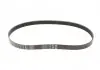 Пас поликлиновый 6РКХ1003 BMW 11287618848 (фото 1)