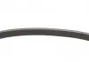 Пас поликлиновый 6РКХ1003 BMW 11287618848 (фото 2)