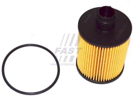 Фильтр масляный FIAT DOBLO 09-н.в., OPEL COMBO 11-18, SUZUKI SX-4 06-14 FAST FT38077