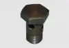 Болт-штуцер Гура Chery Amulet Aftermarket A11-3406109 (фото 1)