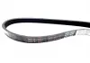 Ремінь Гура і кондиціонера Chery Kimo EEP S12-8104051BA (фото 2)