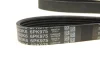Роликовый модуль натяжителя ремня (ролик, ремень) DAYCO KPV333 (фото 5)