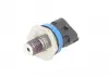 Элемент системы Common Rail BOSCH 0281006191 (фото 3)