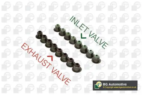 Сальник клапана 8mm Berlingo / Ducato / Scudo 1.8 / 2.0 / 1.9TD (к-кт) BGA VK5341