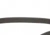 Ремень генератора W201 OM602 / Sprinter OM601 (PS) Gates 6PK2030 (фото 3)