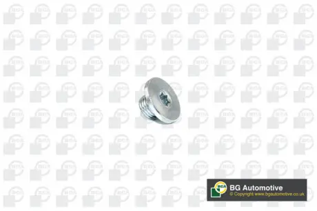 Маслосливная пробка Combo / Astra / Vectra 94- M14x1.5x10.5 BGA PK2200 (фото 1)