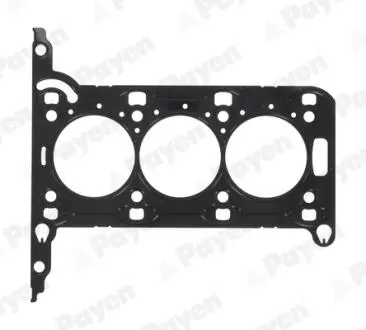 Прокладка головки блока металлическая Payen AE5950