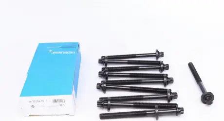 Комплект болтов головки блока цилиндров BMW E36, E46, E39, E61, E91, E90, E60 1,8-2,0 00- VICTOR REINZ 14-32004-02
