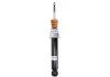 Амортизатор газомасляные BILSTEIN 24-203029 (фото 1)
