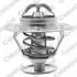 Термостат Mitsubishi Pajero 2.5 TD 86-90 / Nissan Pick Up / Primera / Sunny / Terrano 1.7-2.5 82-07 (75C) TH1419.75J
