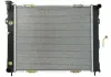 Радиатор THERMOTEC D7Y006TT (фото 1)