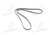 Ремень приводной поликлиновой / MALIBU, CAMARO, COLORADO GM 12664598 (фото 3)