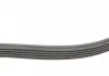 Поликлиновой ременный комплект Contitech 6PK1059 ELAST T2 (фото 2)