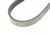Поликлиновой ременный комплект Contitech 6PK1059 ELAST T2 (фото 5)