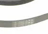 Поликлиновой ременный комплект Contitech 6PK1059 ELAST T2 (фото 6)