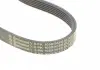 Поликлиновой ременный комплект Contitech 6PK1059 ELAST T2 (фото 9)