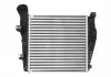 Интеркулер THERMOTEC DAN001TT (фото 2)