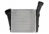Интеркулер THERMOTEC DAN001TT (фото 3)