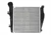 Интеркулер THERMOTEC DAN001TT (фото 4)