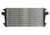 Інтеркулер THERMOTEC DAX013TT (фото 1)