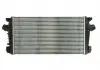 Інтеркулер THERMOTEC DAX013TT (фото 4)