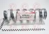 Пружина підвіски передня (кратно 2) CHERY AMULET TANGUN S44001 (фото 1)