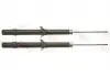 Амортизатор газомасляные JGM1016T