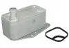 Охладитель масла THERMOTEC D4B009TT (фото 2)