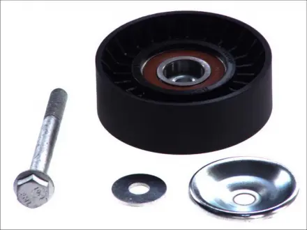 Направляючій ролик BTA E2V6525BTA