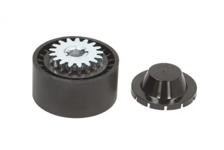 Ролик натяжителя BTA E2R5603BTA