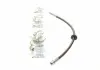 Шланг гальмівний передній Audi A3 / VW Golf / Skoda Octavia (99) (C800543B) CAVO