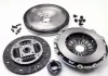 Комплект для переоборудование CaddyIII / GolfV 1.9TDI (77kw) 03- (228mm) (сплошной + к-кт сцепления) CK9908F
