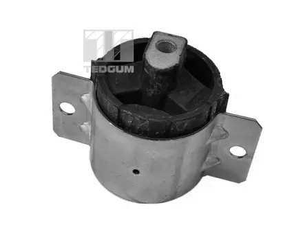 Крепления коробки передач TEDGUM 00416330