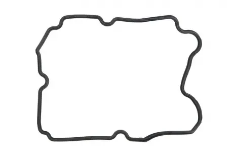 Прокладка, головка цилиндра ELRING 482.420