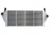 Інтеркулер THERMOTEC DAR010TT (фото 4)