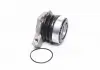 Підшипник вижимний ALFA ROMEO 159, OPEL ANTARA, ZAFIRA A, VECTRA B 1.6-2.8 94- (Пр-во ABS) 41246
