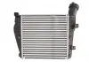 Интеркулер THERMOTEC DAA014TT (фото 2)