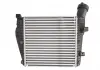 Интеркулер THERMOTEC DAA014TT (фото 4)