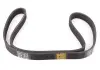 Ремінь генератора і водяного насоса 2.8TCI (Diesel) 5PK1020 Great Wall Hover Aftermarket 1307012-E06 (фото 1)