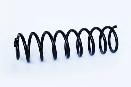 Пружина задня VW POLO CLASSIC (6V2) 75 1.6 ASAM 73768 (фото 1)